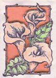 Fiber Etch Carved Paper Card